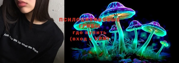 крисы Волосово