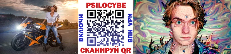 Купить закладки  Камбарка  Псилоцибиновые грибы Psilocybe 