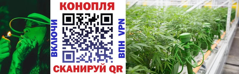 Купить  Камбарка  Бошки марихуана Amnesia 